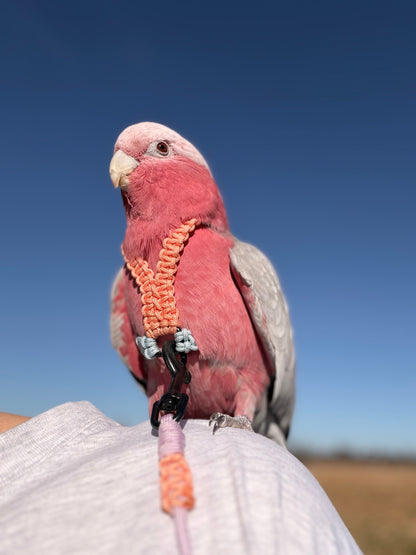 Paracord Pastel Vogeltuigje incl. lijn– Veilig & Comfortabel