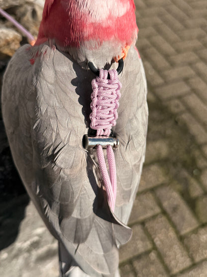 Paracord Pastel Vogeltuigje incl. lijn– Veilig & Comfortabel