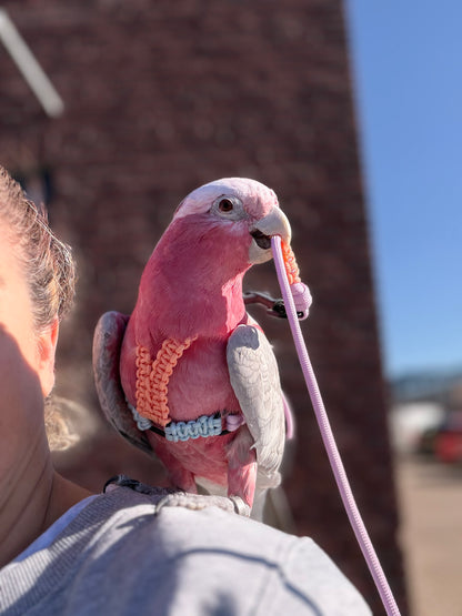 Paracord Pastel Vogeltuigje incl. lijn– Veilig & Comfortabel