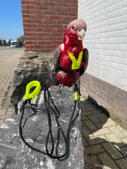 Paracord Neon geel / zwart Vogeltuigje incl. lijn– Veilig & Comfortabel