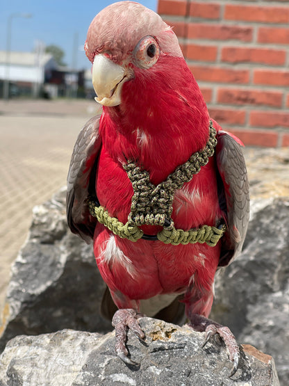 Paracord Camouflage groen Vogeltuigje incl. lijn – Veilig & Comfortabel