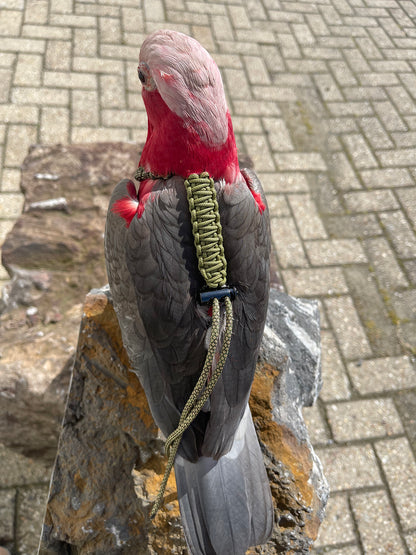 Paracord Camouflage groen Vogeltuigje incl. lijn – Veilig & Comfortabel